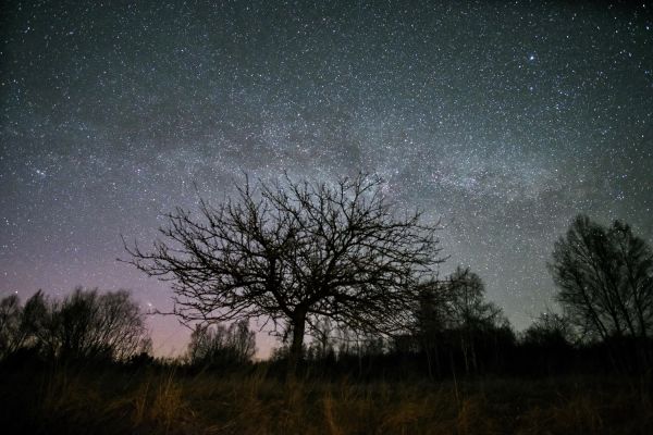 Milky Way 03.2022 - Astrophotography