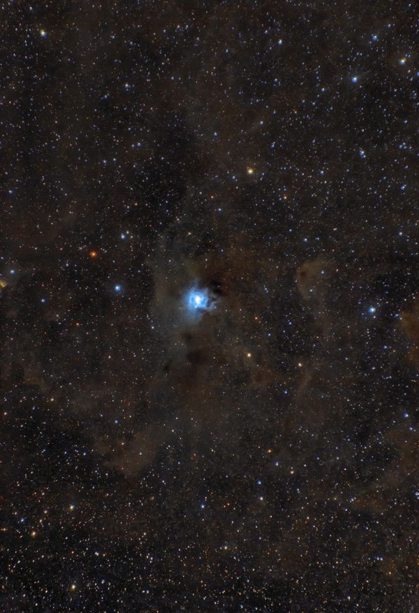 NGC 7023 Iris Nebula - Astrophotography