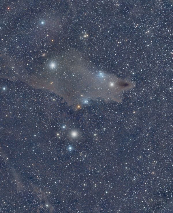 The Toothed Fish, The Shark (LND1235, VDB 150, VDB 149) - Astrophotography