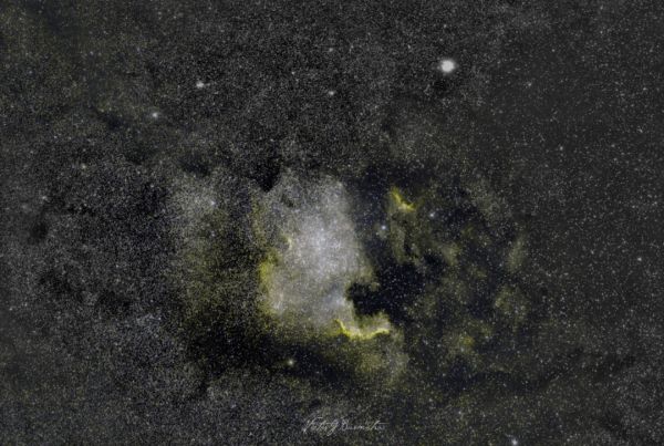 Ngc 7000 - Astrophotography