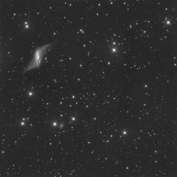 NGC 660 - Astrophotography