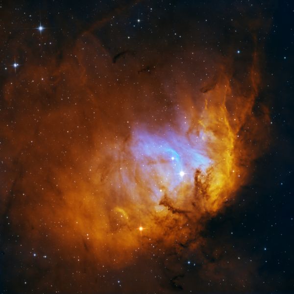 Tulip Nebula - Astrophotography