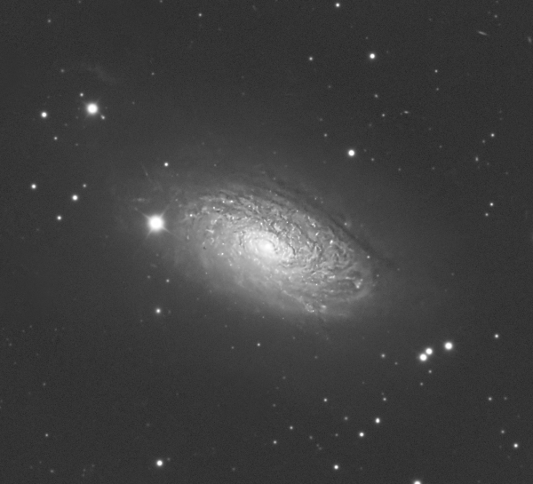 NGC 5055 - Astrophotography