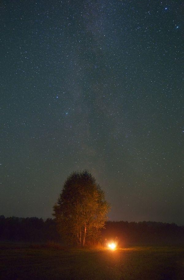Let's sit by the campfire and look at the Milky Way. - Astrophotography