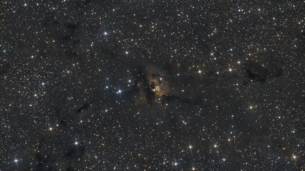 LDN 1317 - Astrophotography