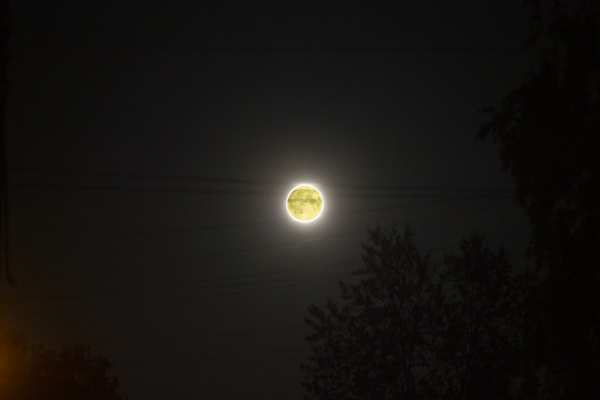 Moon - Astrophotography