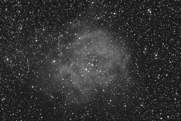 The Rosette Nebula - Astrophotography