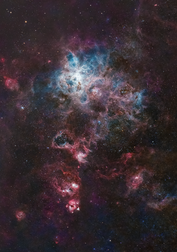 The Tarantula Nebula (NGC 2070) - Astrophotography