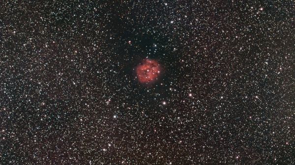 Cocoon Nebula (IC 5146) - Astrophotography