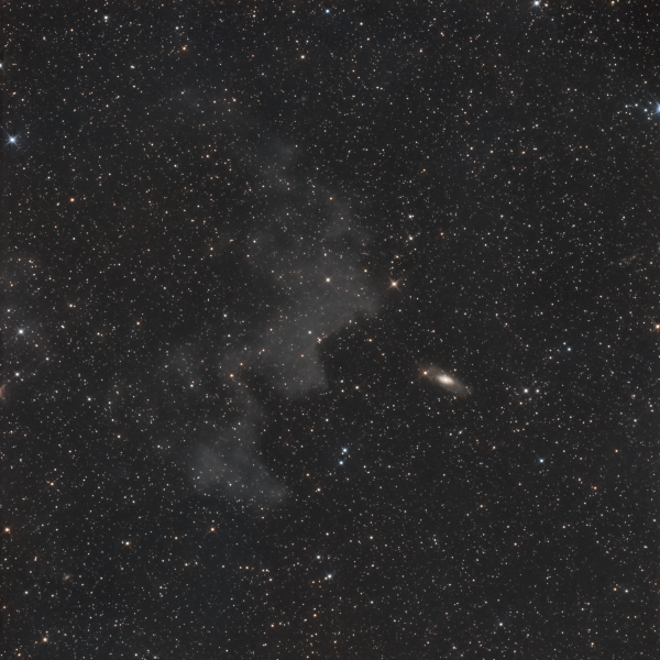 NGC 7013 + IFN - Astrophotography