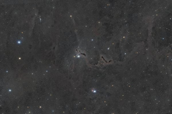 LDN1255 - Astrophotography