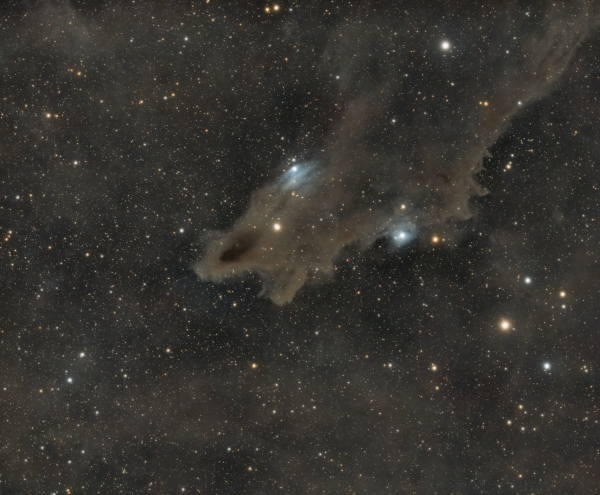 LDN1235 - Dark Shark Nebula - Astrophotography