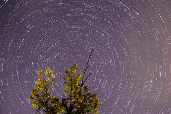 star trails - Astrophotography