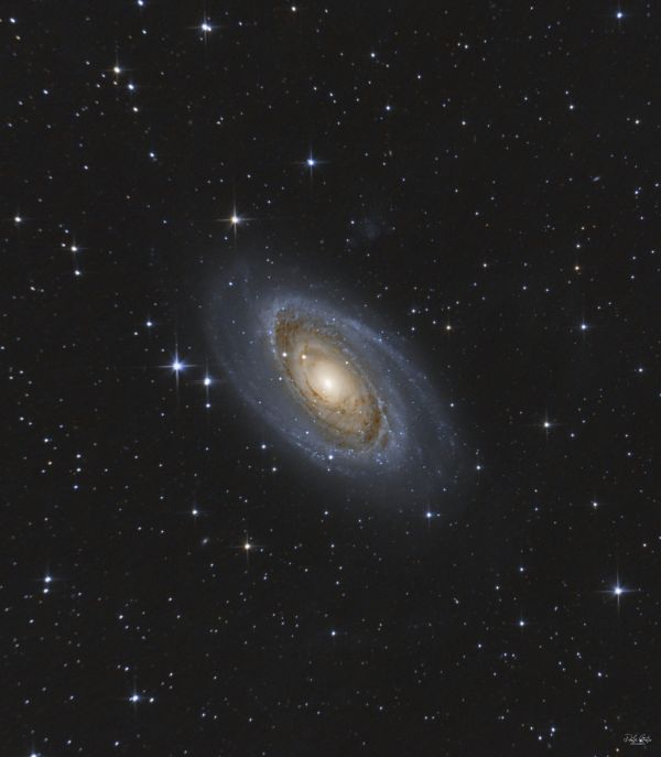M81 Bode galaxy - Astrophotography