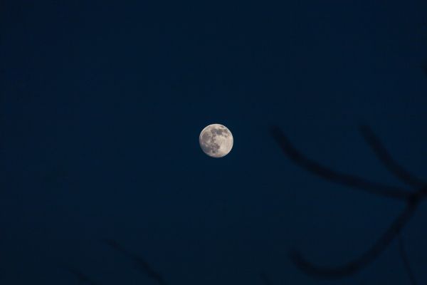 Evening Moon - Astrophotography