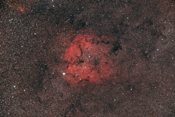 IC 1396 in the constellation Cepheus - Astrophotography