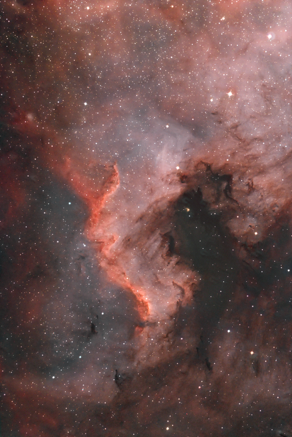 Central part of the nebula NGC 7000 