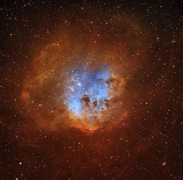 IC 410 - The Tadpoles - Astrophotography