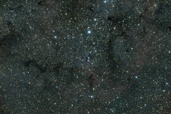 IC 1396 - Elephant's Trunk