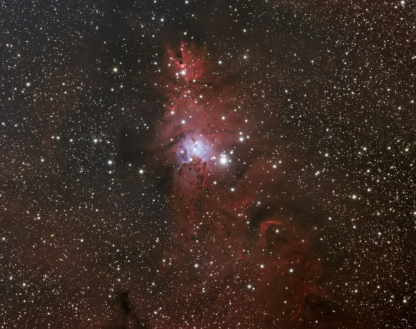Christmas Tree Cluster & Cone Nebula (NGC 2264) - Astrophotography