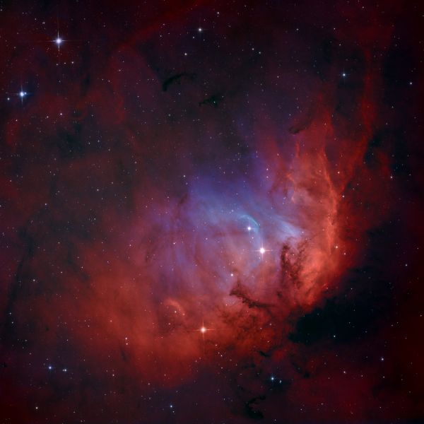 Tulip Nebula - Astrophotography