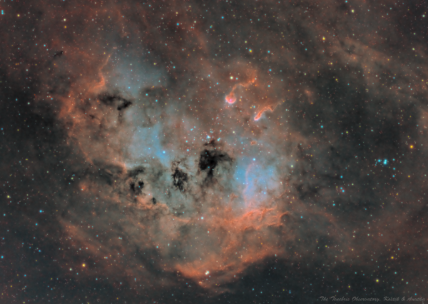 IC410 Tadpoles - Astrophotography