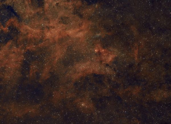 Cygnus region in the area of the 