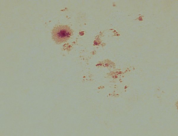 Sunspot Group 3774 - Astrophotography