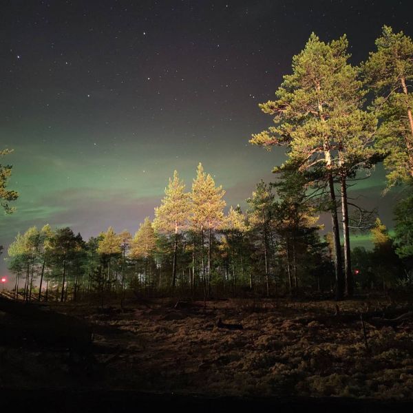 Aurora - Astrophotography