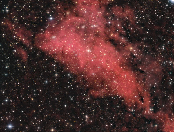 Sadr region in Cygnus. Part of IC1318 nebula Ha_LRGB - Astrophotography
