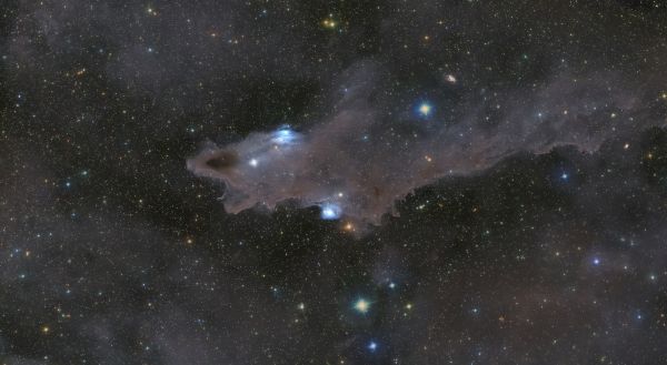 LDN1235 - Astrophotography