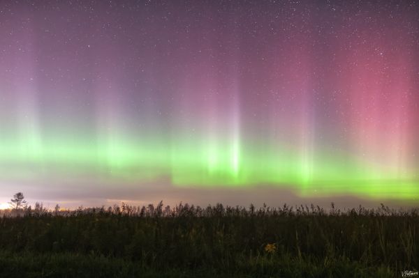 Northern Lights - Astrophotography