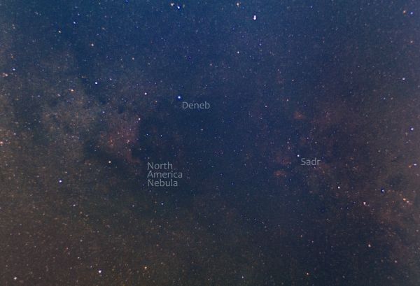 NGC 7000 Untracked - Astrophotography