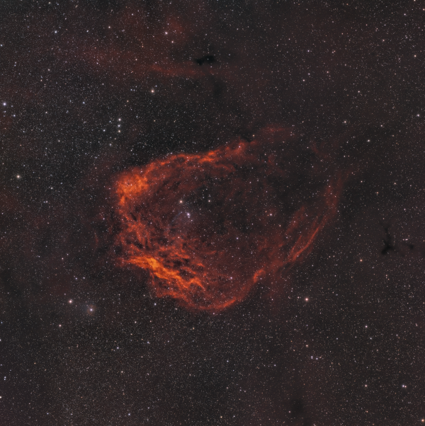 The Flying Bat (Sh2-129) - Astrophotography