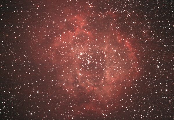 NGC2244 - Astrophotography