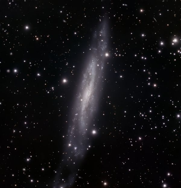 NGC7640 - Astrophotography