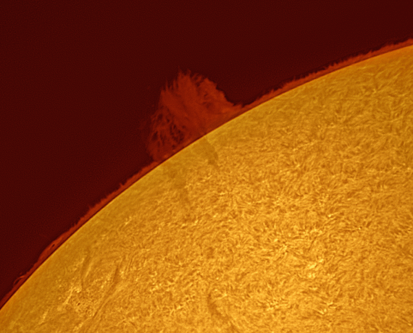 Animation of the Sun's chromosphere - Astrophotography