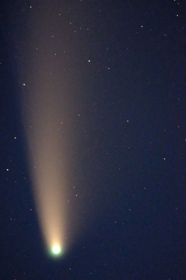 Comet C/2020 F3 - Astrophotography