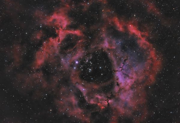 NGC 2244 - Rosette Nebula - Astrophotography