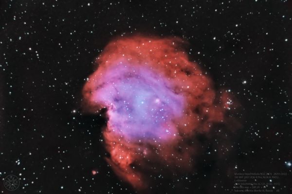 NGC 2174 - Monkey Head Nebula - Astrophotography