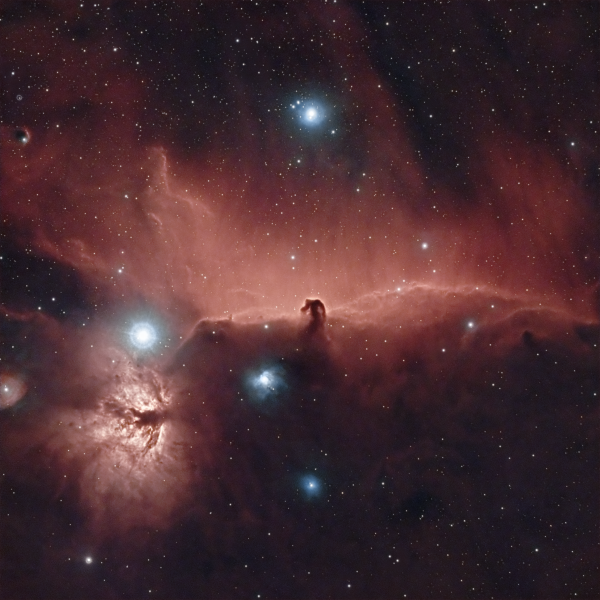 IC 434 + NGC 2024 (Horsehead, Flame) - Astrophotography