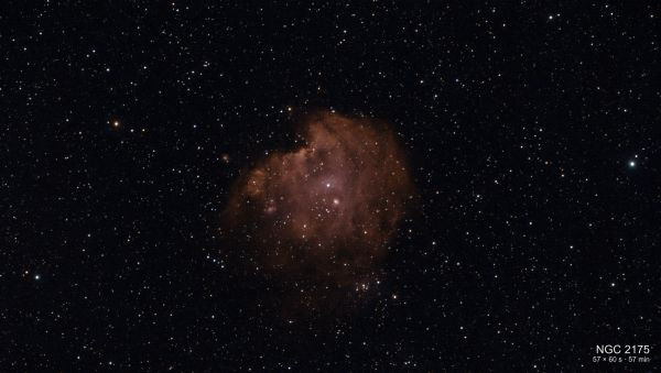 Monkey Head Nebula (NGC 2175)
