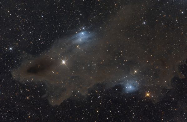 LDN1235 - Astrophotography