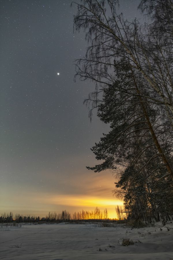 Star of Bethlehem for the occasion of January 7th - Astrophotography
