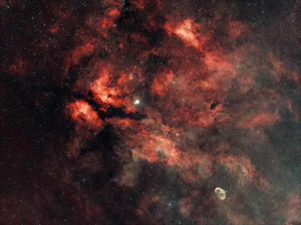 Sadr, Crescent, and everything nearby - Astrophotography