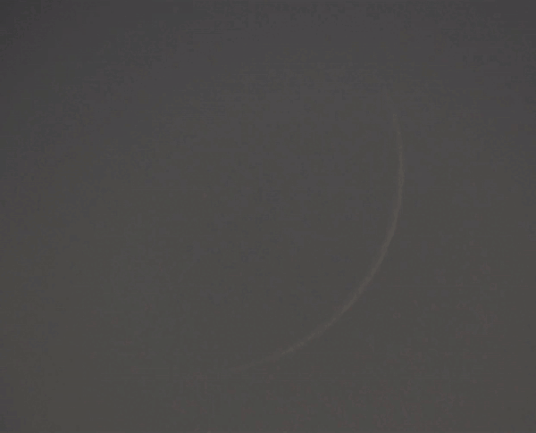 Birds flying in front of a very thin 2.6% Moon. 30.06.23. Gif - Astrophotography