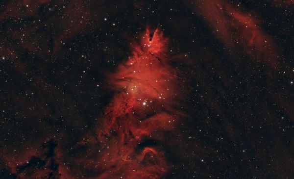 NGC 2264 Christmas Tree - Astrophotography
