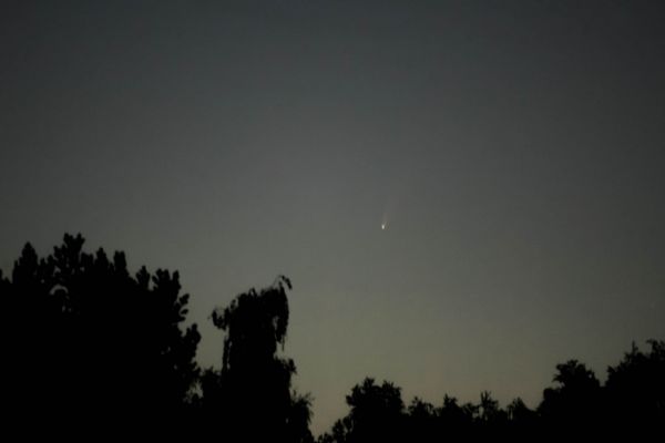 C/2020 F3 NEOWISE - Astrophotography