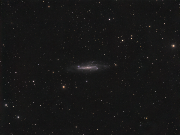 NGC 4236 in Draco - Astrophotography