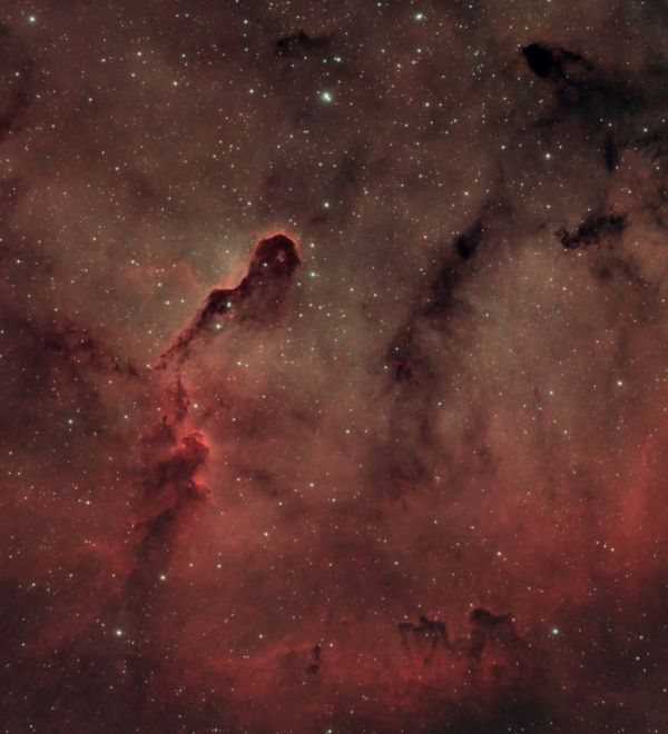 Elephant's Trunk Nebula (IC 1396), 05.10.2024 - Astrophotography